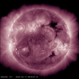 Latest image from SDO AIA 211A